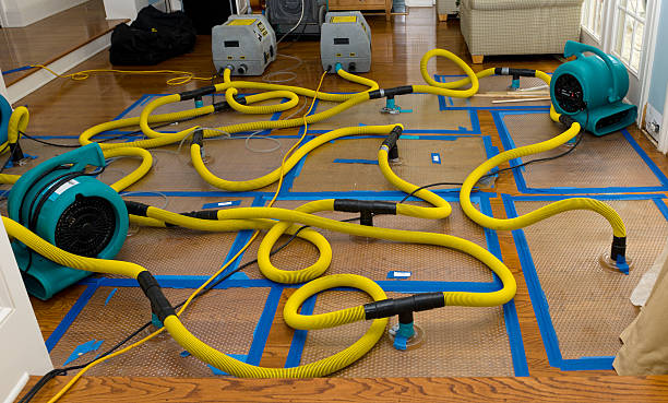 Professional Crawl Space Water Removal technician working in Drake, CO